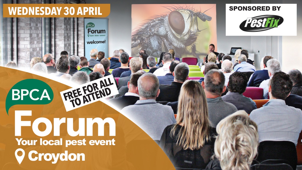 forum croydon hero